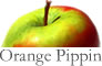 Orange Pippin